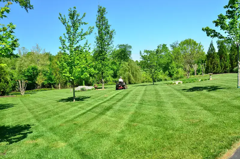 Záber na upravenú záhradu s niekoľkými stromami, vzadu slabo viditeľný záhradný traktor